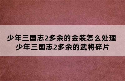 少年三国志2多余的金装怎么处理 少年三国志2多余的武将碎片